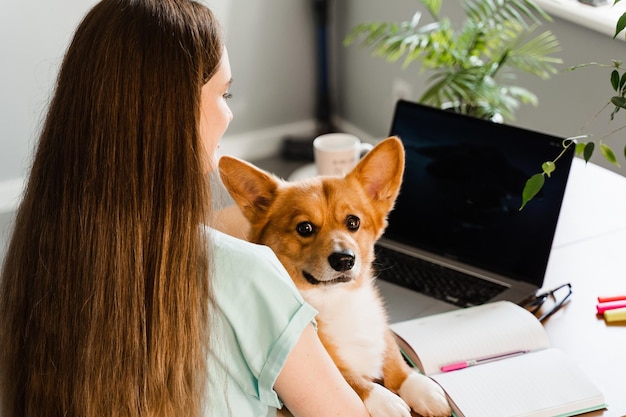 Enseignement à distance Une étudiante avec un ordinateur portable étudie en ligne avec son adorable chien Corgi à la maison Une jeune femme embrasse Welsh Corgi Pembroke et prend des notes dans un cahier