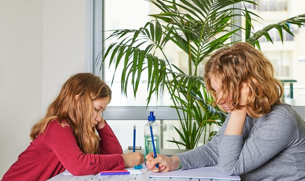 Enseignement à distance en ligne. Les écolières sœurs plus jeunes et plus âgées étudient à la maison avec un ordinateur portable et font leurs devoirs.