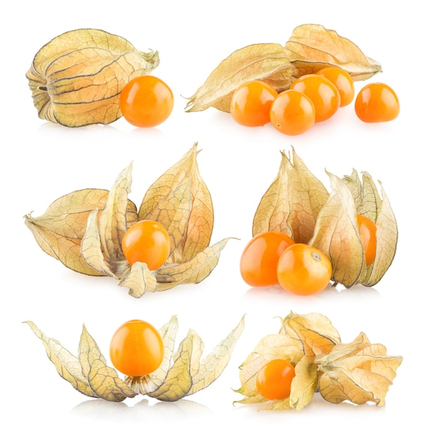 Ensemble de 6 images de physalis