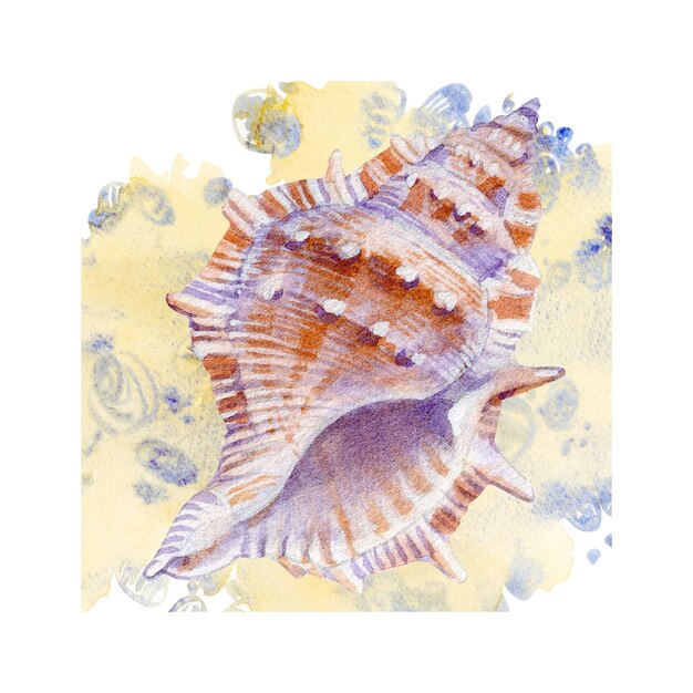 Ensemble aquarelle de coquillages sur fond blanc pour votre menu ou votre design