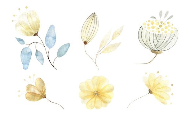 Un ensemble aquarelle de divers éléments isolés de fleurs et de bourgeons d'or abstrait