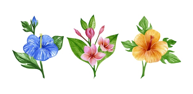 Ensemble Aquarelle De Fleurs D'hibiscus Et De Plumeria Sur Fond Blanc En Vecteur