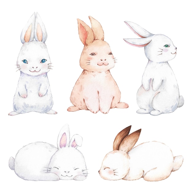 Ensemble d'aquarelles de lapins de Pâques Illustrations aquarelles dessinées à la main