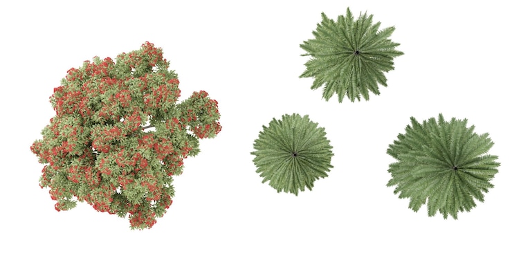 Photo ensemble d'arbres fireucalyptus ficifolia rendus à partir de l'illustration 3d de la vue de dessus