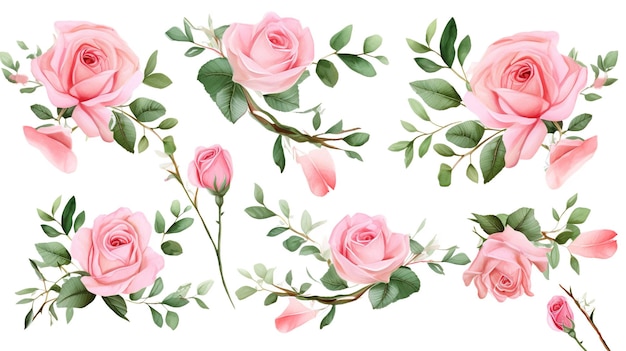 Photo ensemble d'arrangement aquarelle de roses et de feuilles