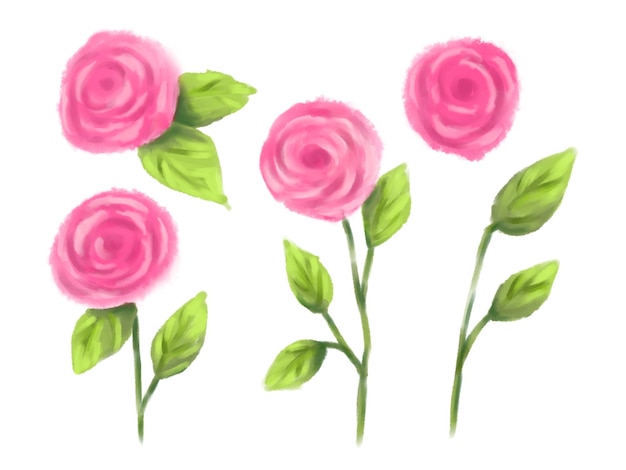 Photo ensemble d'art clip fleur rose rose illustrations florales dessinées à la main isolées sur blanc clipart botanique