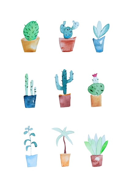 Ensemble de cactus aquarelle
