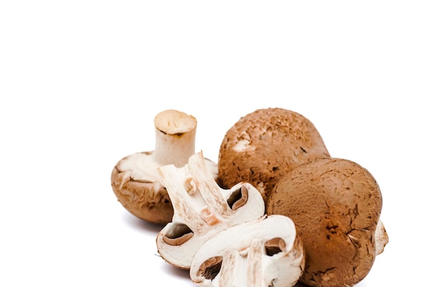 Ensemble de champignons frais entiers et tranchés isolés sur fond blanc