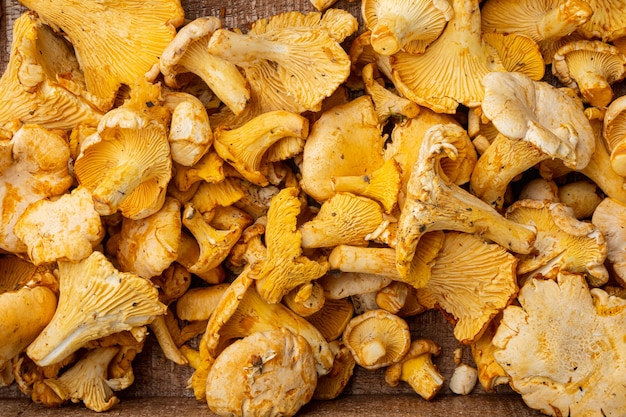 Ensemble de champignons girolles sauvages crues, dans un conteneur en bois, sur fond de table en bois foncé ancien, vue de dessus à plat