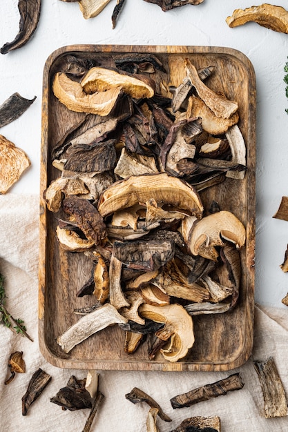 Ensemble de champignons séchés sauvages Boletus, on white