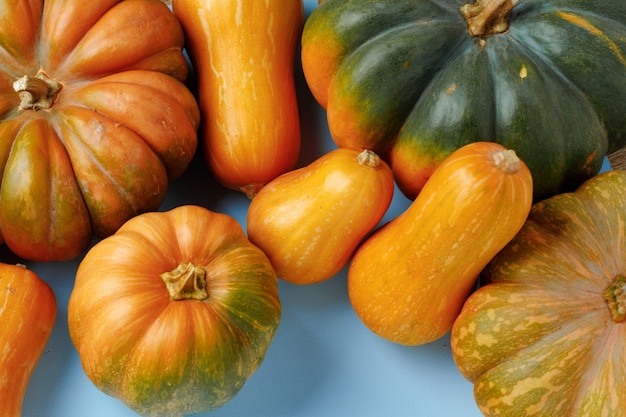 Ensemble de citrouilles de couleur différente sur fond bleu