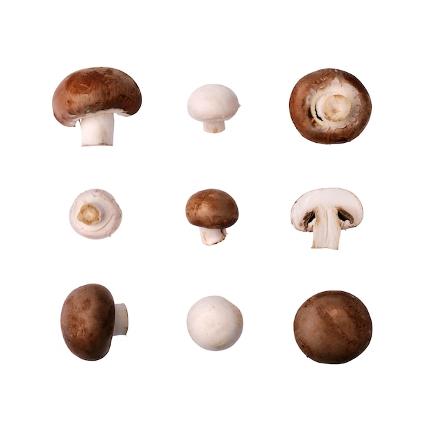 Ensemble de collage de champignons champignon frais entiers et tranchés isolé sur fond blanc.
