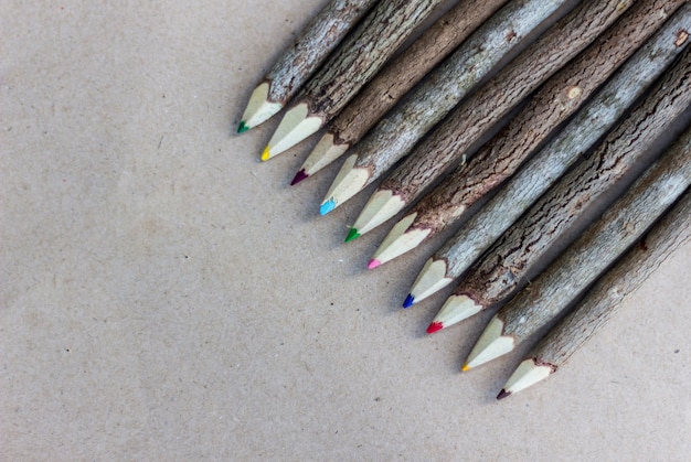 ensemble de crayon de couleur en bois de branche d&#39;arbre