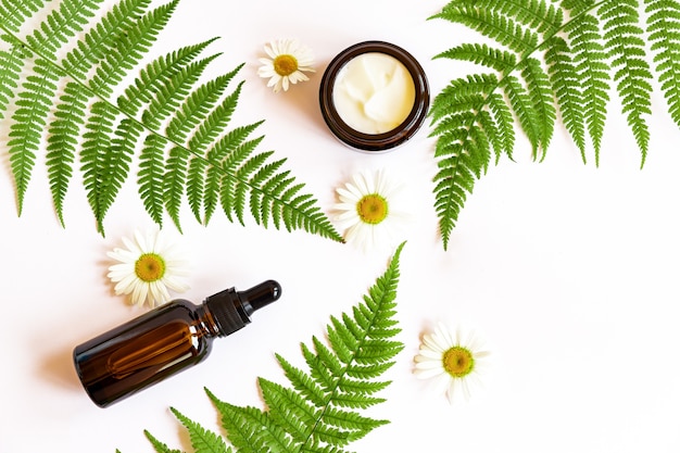 Ensemble de crème visage bio naturelle et huile essentielle sur feuilles de fougère aux fleurs de camomille. Copiez l'espace pour la conception de votre marque de cosmétiques.