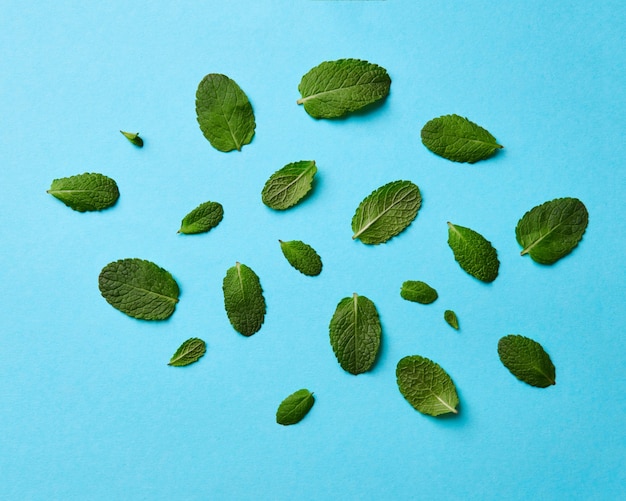 Photo un ensemble de différentes feuilles de menthe