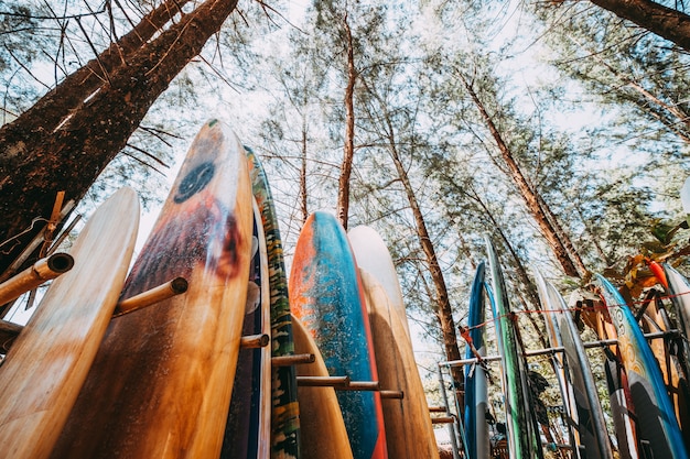 Ensemble de différentes planches de surf colorées dans une pile disponible à la location sur la plage.