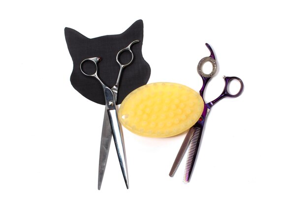 Ensemble de différents peignes et brosses pour le toilettage des animaux de compagnie sur fond blanc avec reflet d'ombre