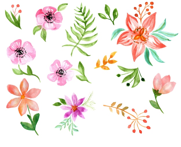 Ensemble d'éléments aquarelles fleurs sauvages herbes feuillage Collection d'herbes de jardin et de forêt sauvage