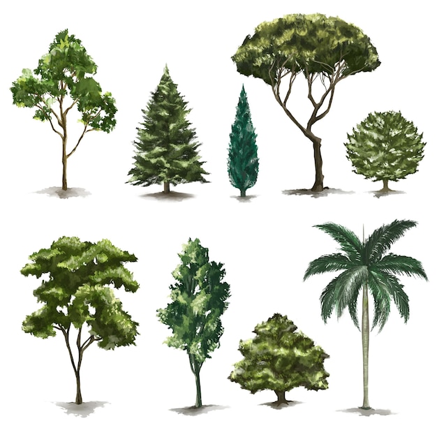 Ensemble d'éléments de conception d'arbre Png peinture de la nature
