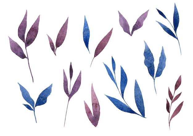 ensemble de feuilles bleues et violettes dessinées à la main aquarelle isolé sur fond blanc douze feuilles clipart