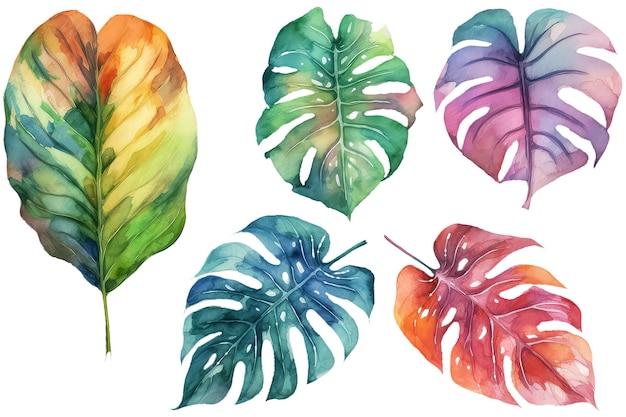 Photo ensemble de feuilles de monstera aquarelle sur fond blanc isolé ai