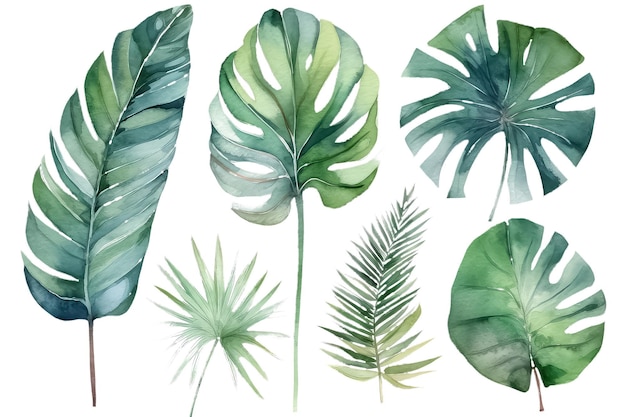 Ensemble de feuilles tropicales isolé sur fond blanc AI