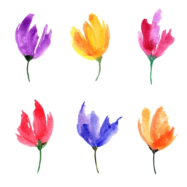 Ensemble de fleurs de tulipes à l'aquarelle Décoration florale Carte d'anniversaire de voeux Conception d'invitation de mariage