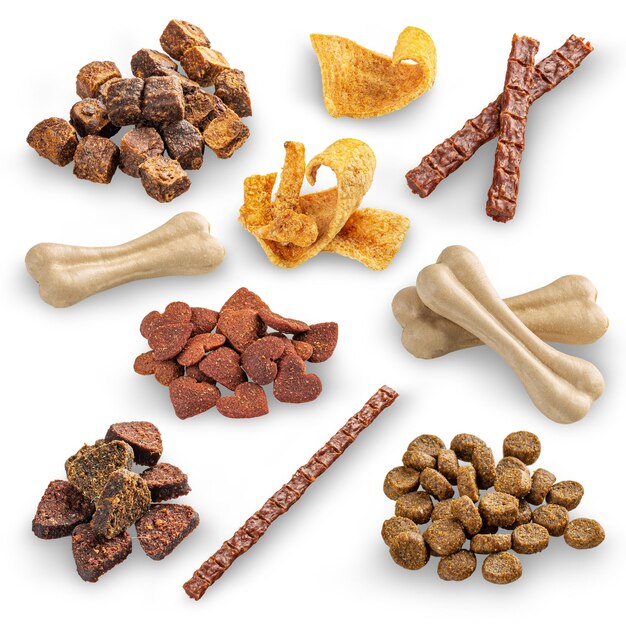 Ensemble de friandises pour chiens