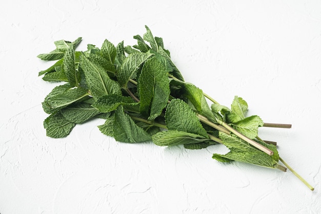 Ensemble d'herbes de feuilles de menthe fraîche, sur pierre blanche