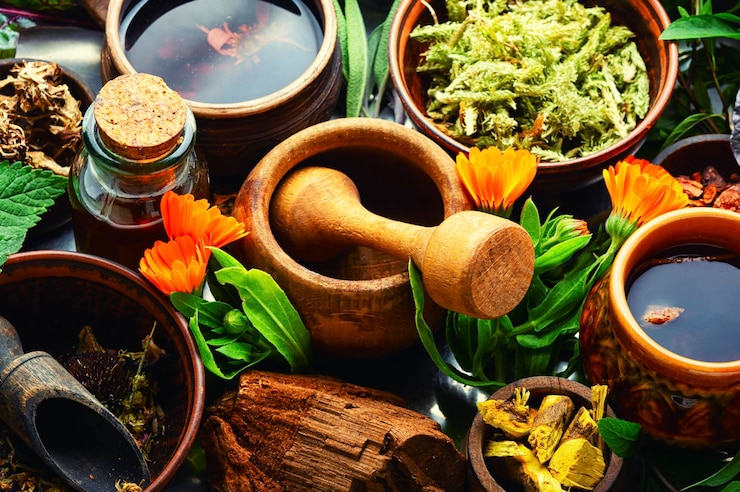 Photo ensemble d'herbes homéopathiques fraîches et sèches. plantes en phytothérapie.