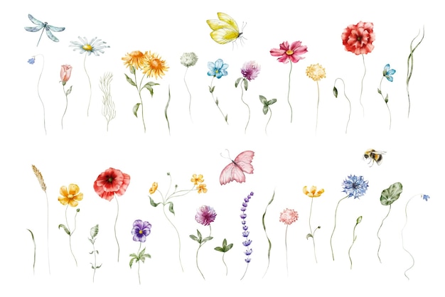 Photo ensemble d'illustration florale aquarelle