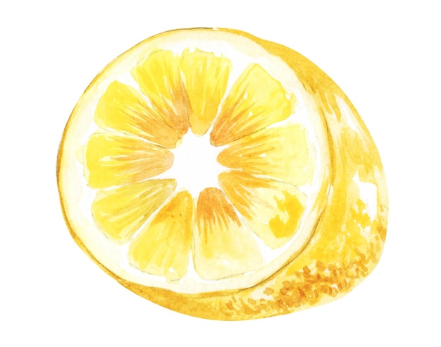 Ensemble d'illustrations à l'aquarelle de citrons Feuilles vertes de fruits peintes à la main sur fond blanc