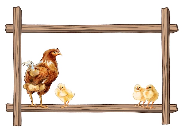 Un ensemble d'illustrations à l'aquarelle de poulets dans un cadre avec un endroit à insérer pour l'impression et la conception