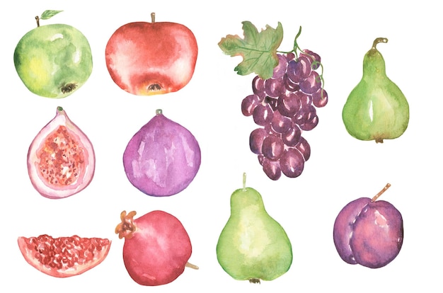 Ensemble d'illustrations de fruits aquarelle raisins dessinés à la main fruits de jardin répéter papier poire prune pomme