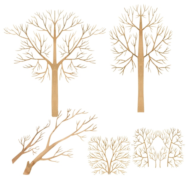 Un ensemble d'images d'arbres et d'arbustes sans verdure isolés sur une aquarelle de fond blanc