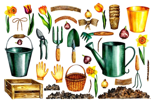 Photo ensemble de jardin outils de jardinier, illustration aquarelle.