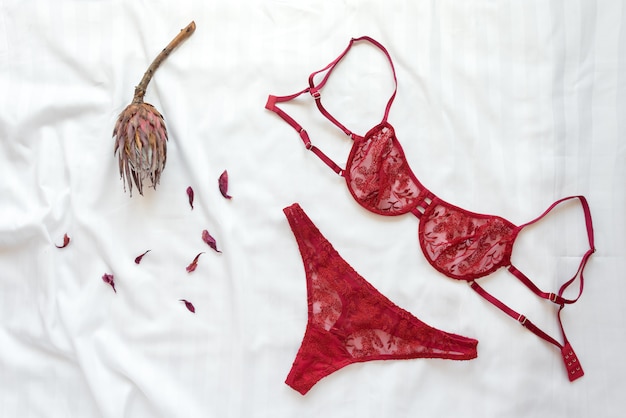 Ensemble de lingerie en dentelle sexy glamour élégant avec des fleurs