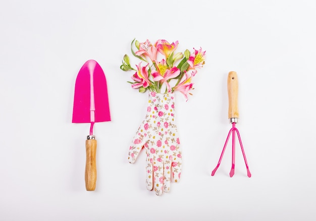 Ensemble d'outils féminins travaillant jardin fleurs roses