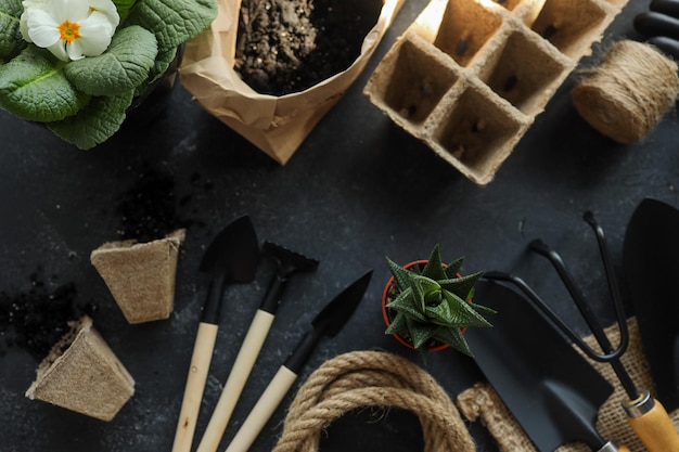 Ensemble d'outils de jardinage sur fond noir