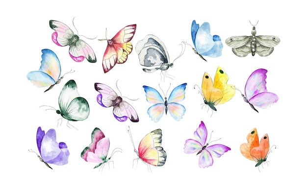 Ensemble de papillon coloré aquarelle.