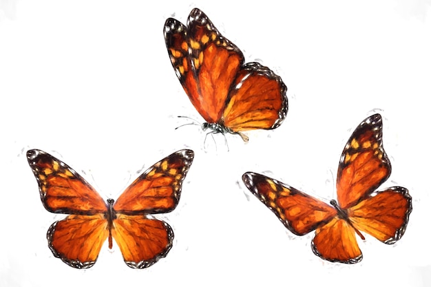 Ensemble de papillons tropicaux colorés isolés sur fond blanc