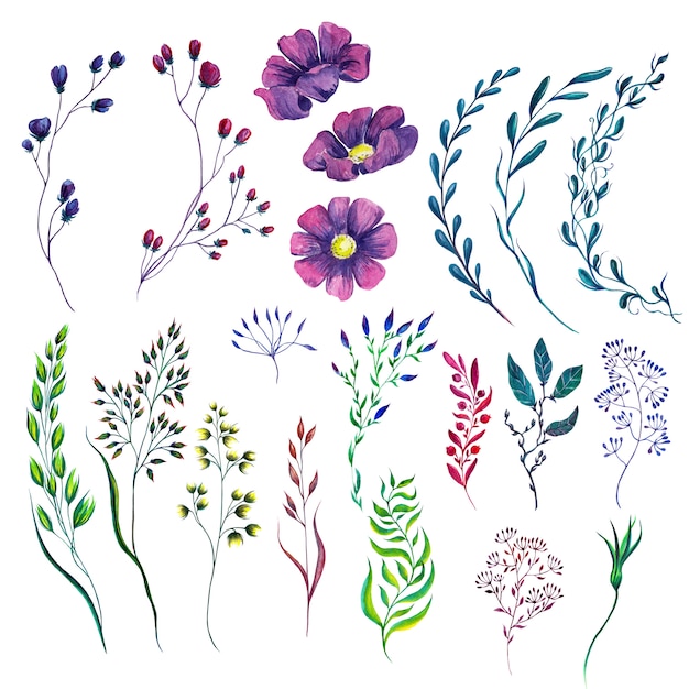 Ensemble de plantes à fleurs aquarelles