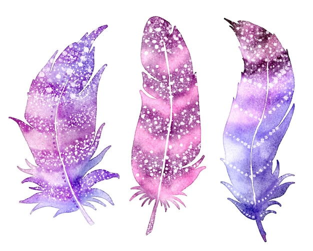 Ensemble de plumes aquarelles, éléments roses, violets, violets, isolés