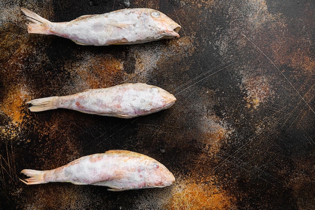 Ensemble de poisson cru de poisson-chèvre congelé, sur fond de table rustique sombre, vue de dessus à plat, avec espace de copie pour le texte