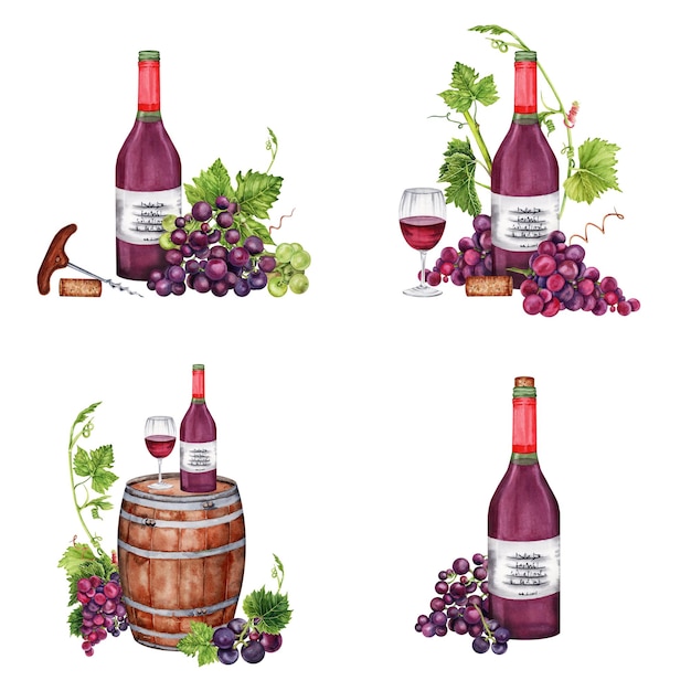 Ensemble de raisins bouteille de vin verre tire-bouchon fût et liège de vin Quatre illustrations à l'aquarelle