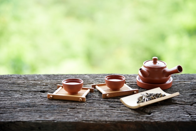 Ensemble de thé chinois style de boisson orientale sur le vert naturel