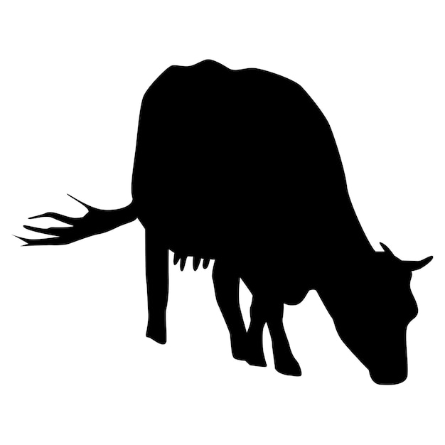Ensemble de vaches en silhouette isolées sur fond blanc Les vaches mangent et marchent Clipart vecteur bovin