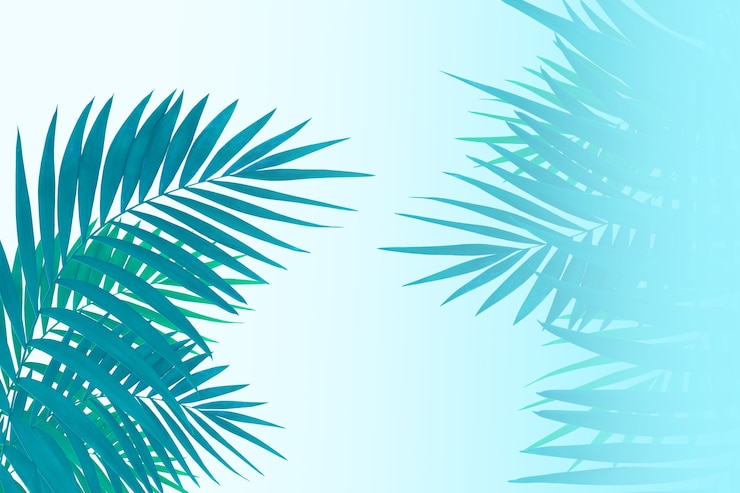 Photo ensoleillement. feuilles exotiques tropicales d'été isolées sur fond blanc. conception de cartes d'invitation, flyers. modèles de conception abstraite pour affiches, couvertures, fonds d'écran avec fond pour le texte.