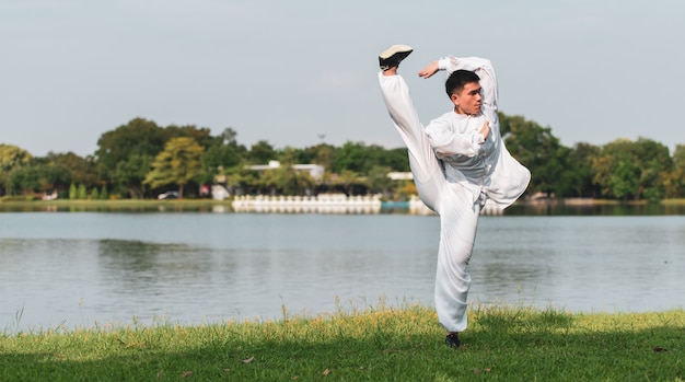 Entraînement de maître de Tai Chi Chuan dans le parc, entraînement d'arts martiaux chinois.