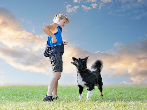 entraînement à l'obéissance avec un border collie